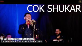 Ork Elvis Ajdinovic&Demko King ©2025 ♫█▬█ █ ▀█▀♫ Cok Shukar Cover Bureto Bend Studio Beko 6K Resimi