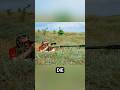Dieses ukrainische Monster trifft aus 4 Kilometern Entfernung