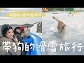 ❄️和毛孩一起滑雪！溫馨難忘的江原道Highone之旅🏂🐶 | 阿巢來了！一來就喝醉🤦‍♀️CP值超高的韓國烤肉放題店🍖 | VLOG