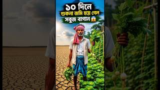 ১০ দিনে শুকনা জমি হয়ে গেল সবুজ বাগান 🤯#shorts #gardening #farming #minifarming