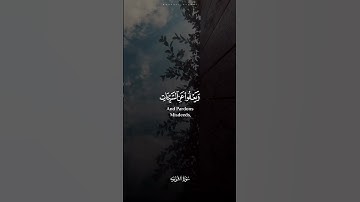تلاوة من القارئ إسلام صبحي سورة الشورى