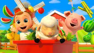 LIVE | Aprende a contar hasta 10 con animales de safari | Canciones infantiles para recién nacidos