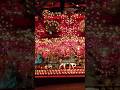 House on the Rock. Largest Carousel in the world.