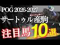 【POG2026-2027】兄エピファネイアに続け!「サートゥルナーリア産駒!注目馬10選」【競馬】