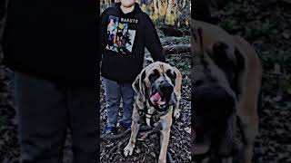 The Most Dangerous Teddy Bear On The Face Of The Earth