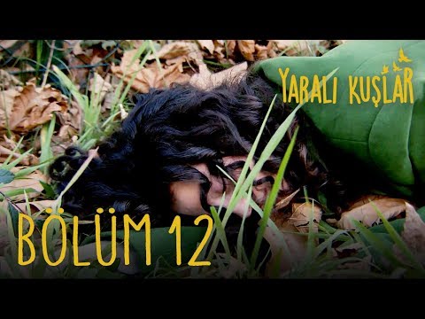 Yaralı Kuşlar 12. Bölüm