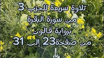 مراجعة الحزب 3 من سورة البقرة برواية قالون