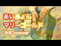 【マリーゴールド/あいみょん】cajon cover/カホンで叩いてみた/演奏してみた/カバー