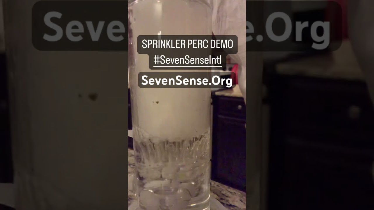 Seven Sense Intl. “Bringing You the Planets Finest” Since 2003