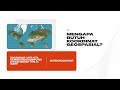Tugas 2 GIS & Geospasial