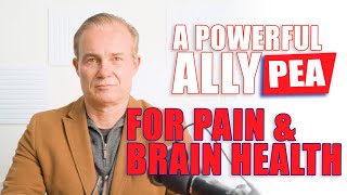 Download Lagu A Fascinating Compound for Health - Palmitoylethanolamide (PEA) | The Microbiome Expert MP3 Download Lagu A Fascinating Compound for Health - Palmitoylethanolamide (PEA) | The Microbiome Expert MP3