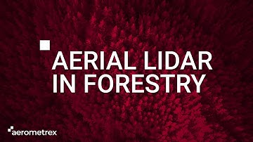 Aerometrex & Forestry: How large scale LIDAR supports forest management