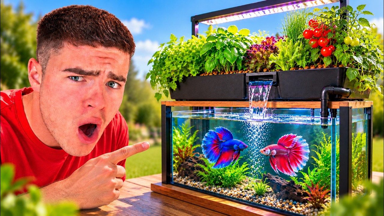 Latest Title & Thumbnail