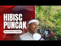 SEJUK TAPI PENUH SAMPAH!! KONDISI TERBARU HIBISC PUNCAK SETELAH DITUTUP OLEH KANG DEDI MULYADI 