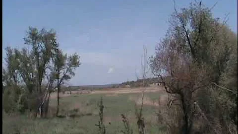 Кукушки:брачное поведение.