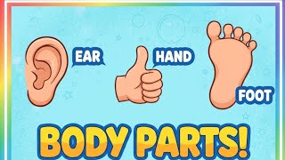 Parts Of Bodyearly Scholars