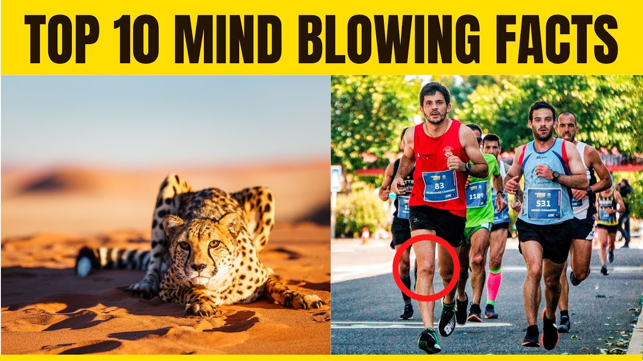 Top 10 Mind-Blowing Facts That You Did't Know - YouTube