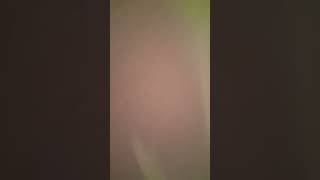 Youve Been Playing Roblox Break In For 24 Hrs.