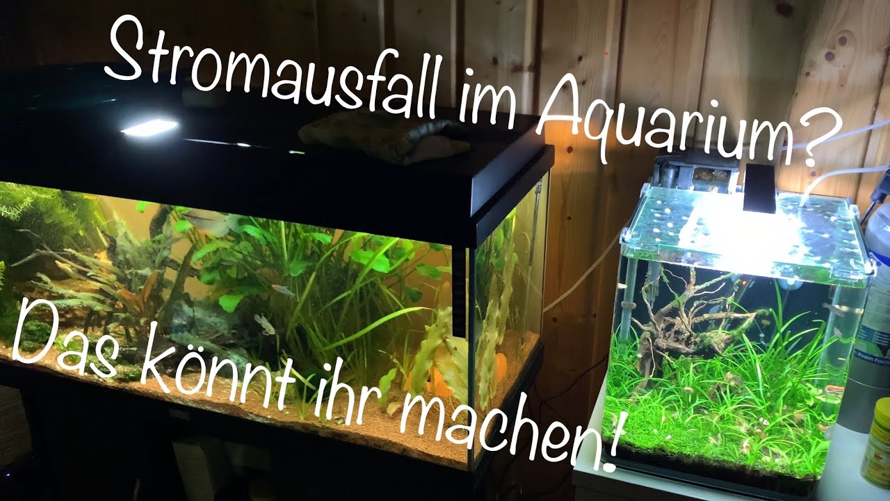 Membranpumpe fürs Aquarium - Luftsprudler kaufen