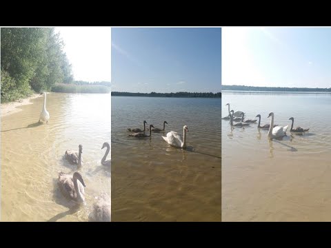 Озеро Мульное в