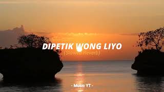 Download Lagu Dipetik Wong Liyo (Slowed Reverb) : Wildan Nolan | Cover by Syahiba Saufa MP3