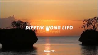 Dipetik Wong Liyo (Slowed Reverb) : Wildan Nolan | Cover by Syahiba Saufa