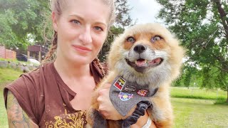Finnegan Fox got a new bandana!