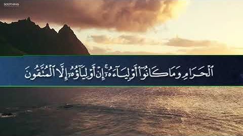 سورة الأنفال : تلاوة رائعة للشيخ حسن صالح@Hassansaleh1970