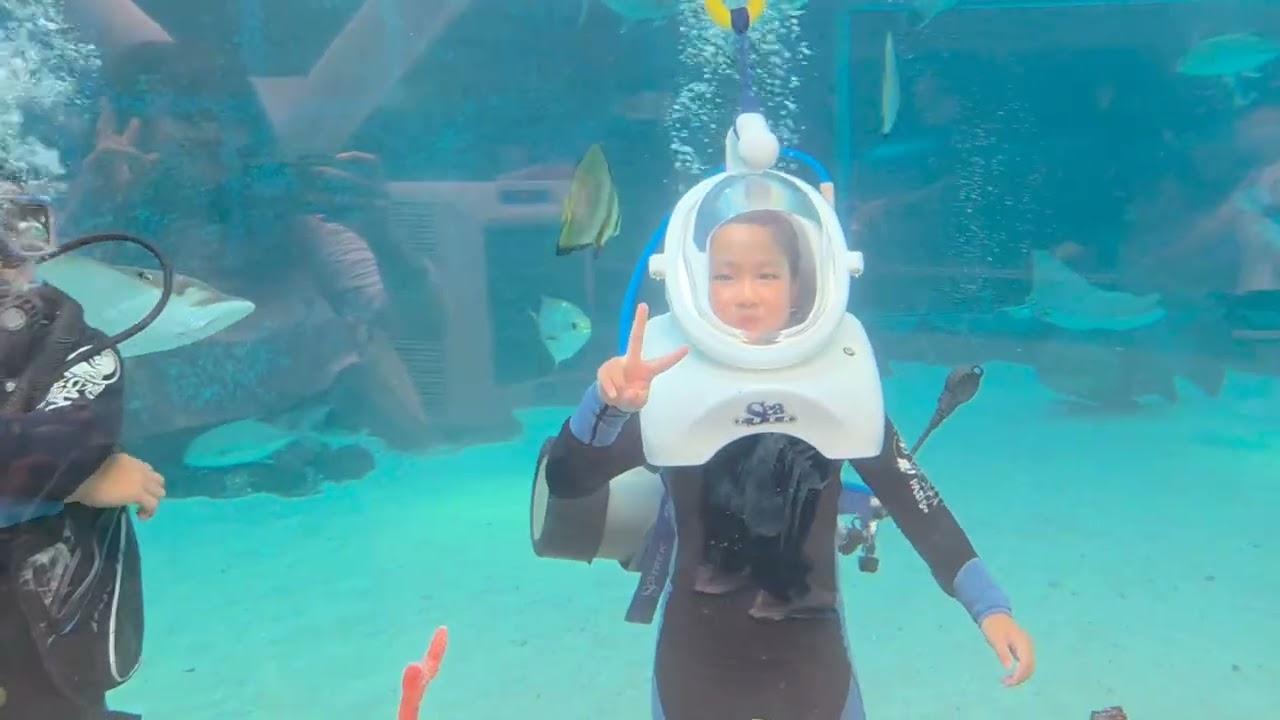 2026#겨울방학#필리핀#세부#두달살기#35일#SM씨사이드#오션월드#씨워킹#SM하늘공원#세부시티맛집#소막#한식부페#(2/12)