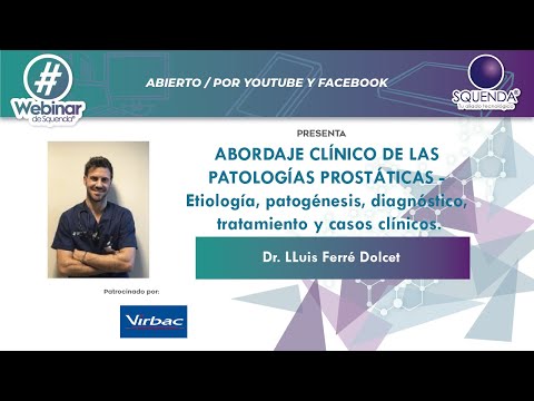 Vídeo: Esterilización Química Con Administración Intratesticular De Gluconato De Zinc En Perros Adultos: Un Informe Preliminar