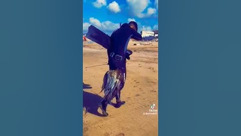الغطس🤿بنفس واحد لصيد سمك أخطبوط او رطالة 🐙حصيلة اليوم 🤲