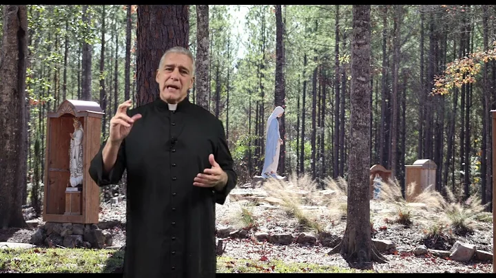 Catechism 101 with Father Mark Beard - The Mass Part 1: The Gloria