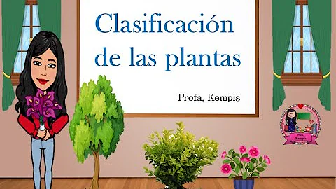 The classification of plants