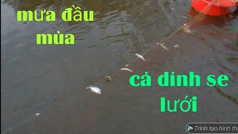 thả lưới, đầu mùa mưa, và cái kết