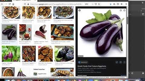 Krita 14   Using reference photos in Krita