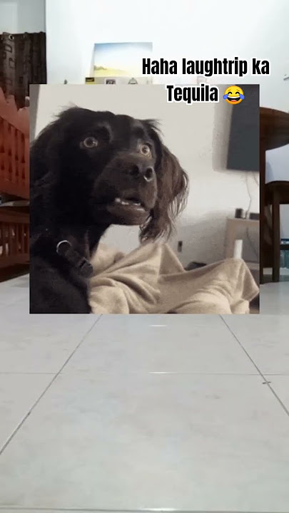 Yong sa dulo talaga ng video ang ngdala haha 😆