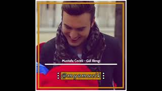 Mustafa Ceceli - Gül Rengi Resimi