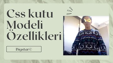 CSS KUTU MODELİ ÖZELLİKLERİ