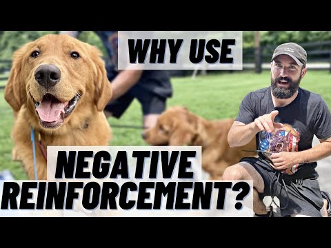 वीडियो: कुत्ता प्रशिक्षण के लिए सकारात्मक सुदृढीकरण और नकारात्मक सुदृढीकरण