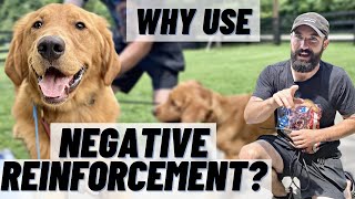 WHY Train With NEGATIVE REINFORCEMENT? SIMPLE Breakdown & Demo!