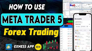 How To Use Metatrader 5 For Forex Trading   Trading