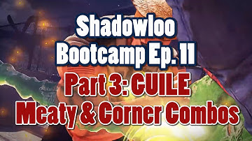 Shadowloo Bootcamp Ep11 Part 3  - Meaty & Corner Combos