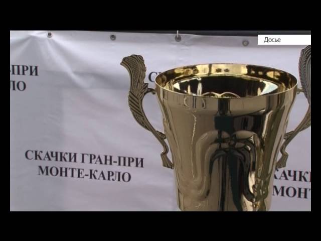 Рекорд Сибири. Лошадь Флорена показала лучший результат за всю историю скачек