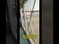 #记录真实生活 #老挝 #海外生活