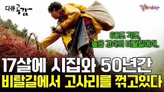 [다큐공감] 17에 26살 남편을 만나 50년간, 오래 서있기도 힘든 비탈길에서 여전히 고사리를 꺾고 있다. 산비탈에서 시작되는 어머니들의 고단한 봄ㅣKBS 2018.05.26