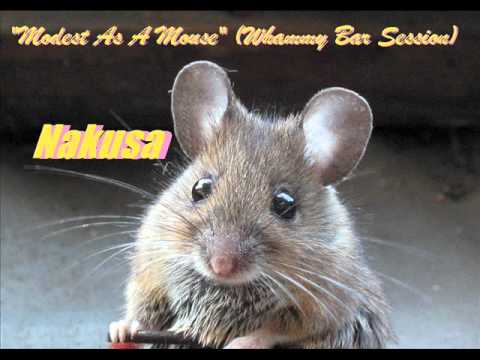 nakusa---"modest-as-a-mouse"-(whammy-bar-session)