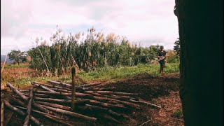 BUHAYBUKID / PANGINGISDA  08  #buhaybukid #pangingisda #fishing #buhayprobinsya #farmlife