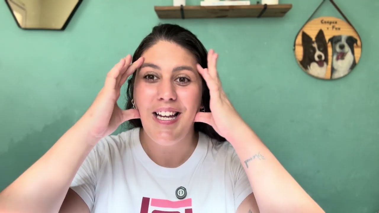 10 melhores enriquecimentos ambientais de 2025