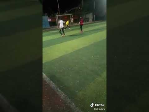 الفنان فنان في كل حاجه علي قدوره الكروان