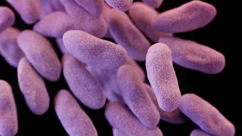 'Nightmare' drug-resistant bacteria found in U.S. - DayDayNews